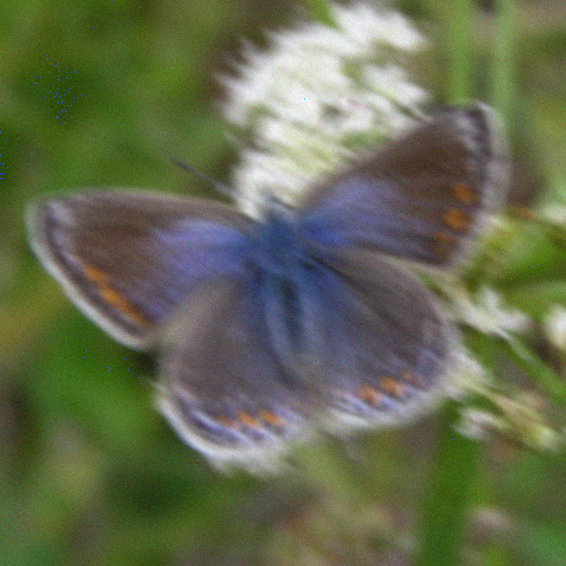Motion deblur measurement